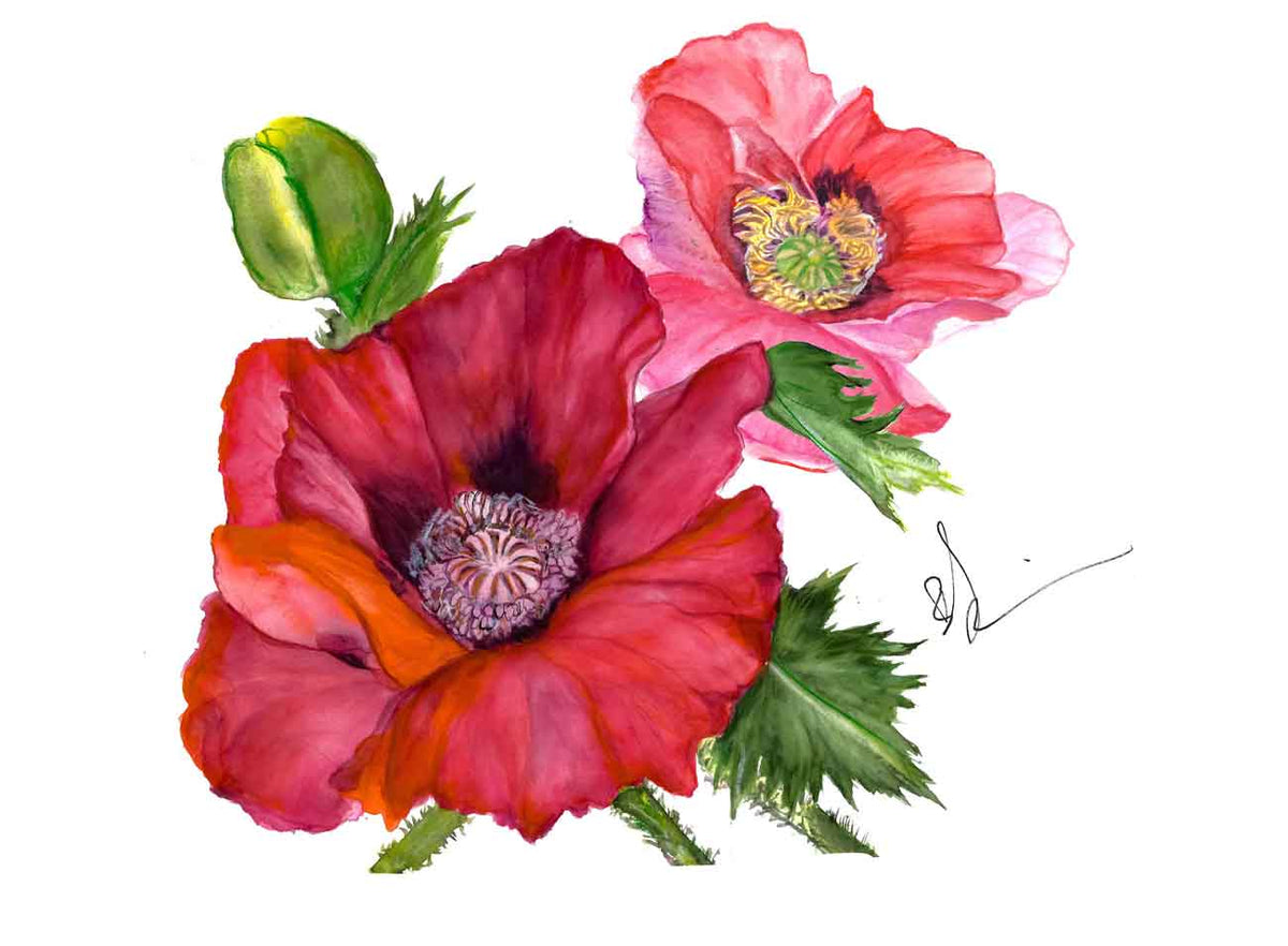 ART-FL0007 — RED POPPIES