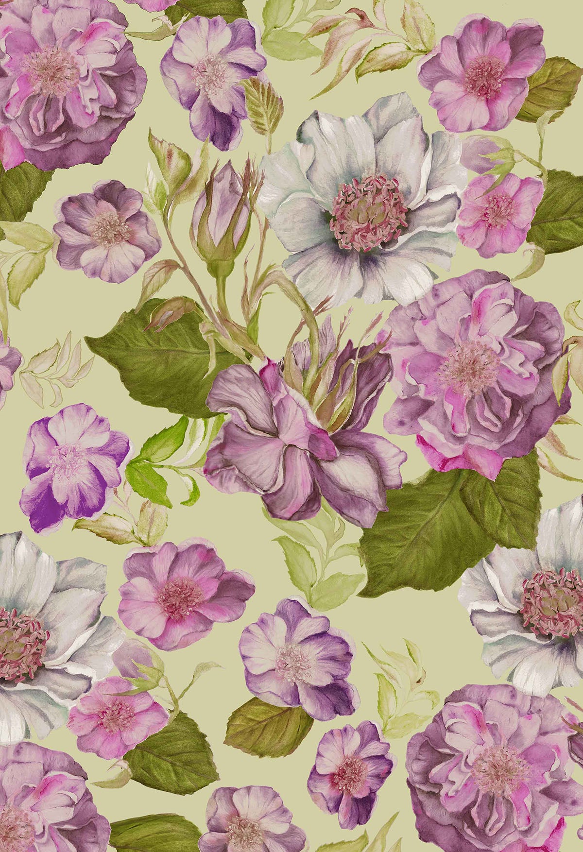 FL0015 - Floral Frenzy Roses - Floral Print