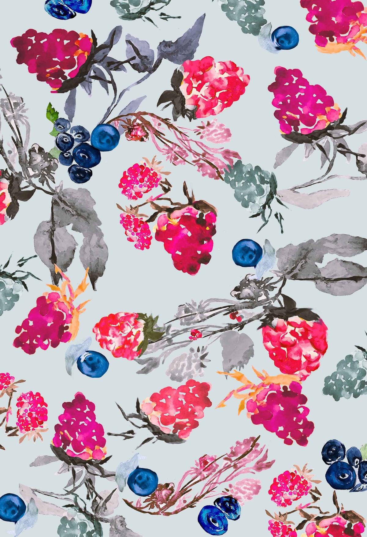 FR003 - Blackberry - Fruits Print