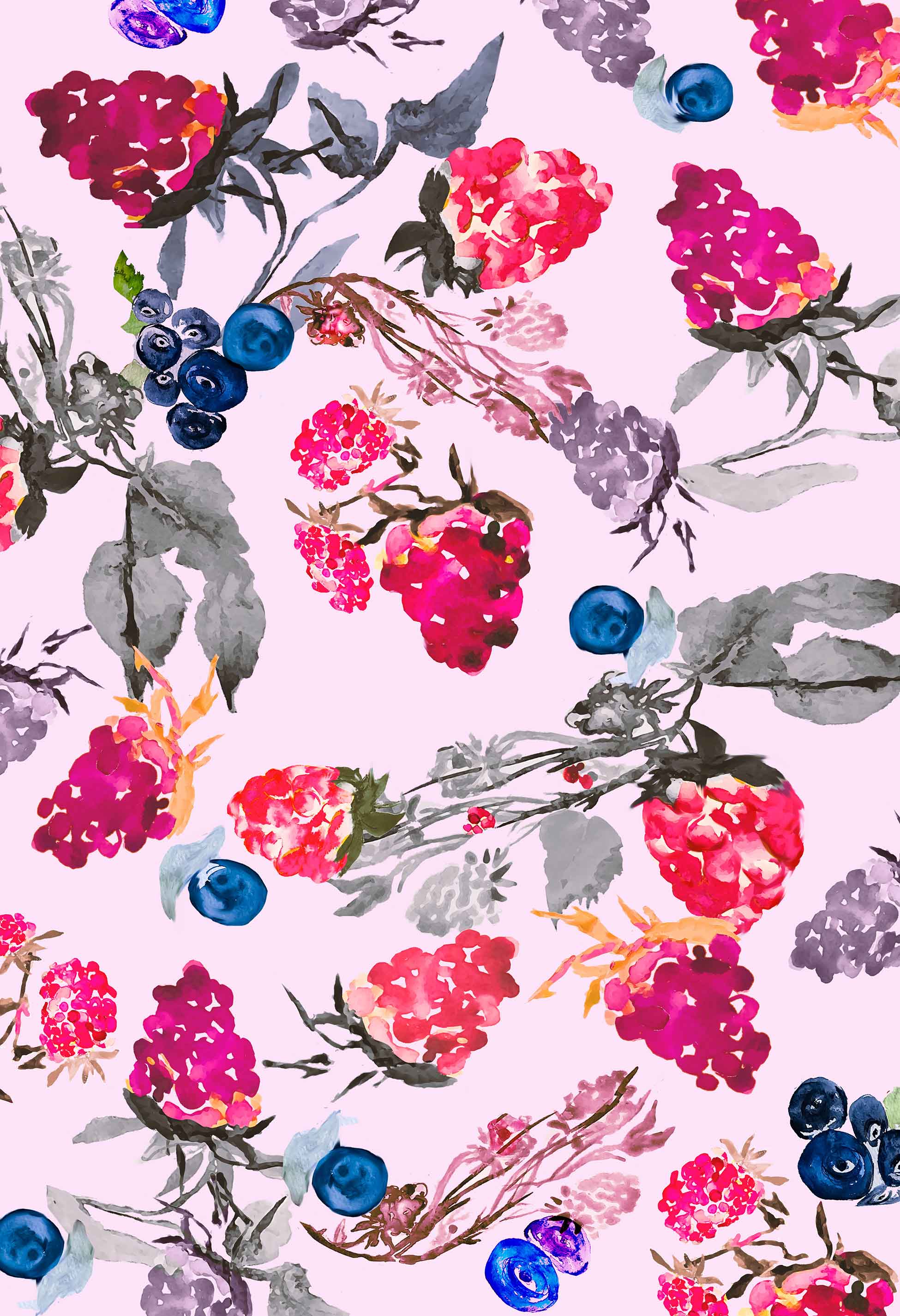 FR003 - Blackberry - Fruits Print