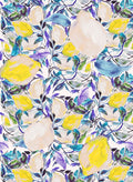 FR004 - Just Lemon - Fruits Print