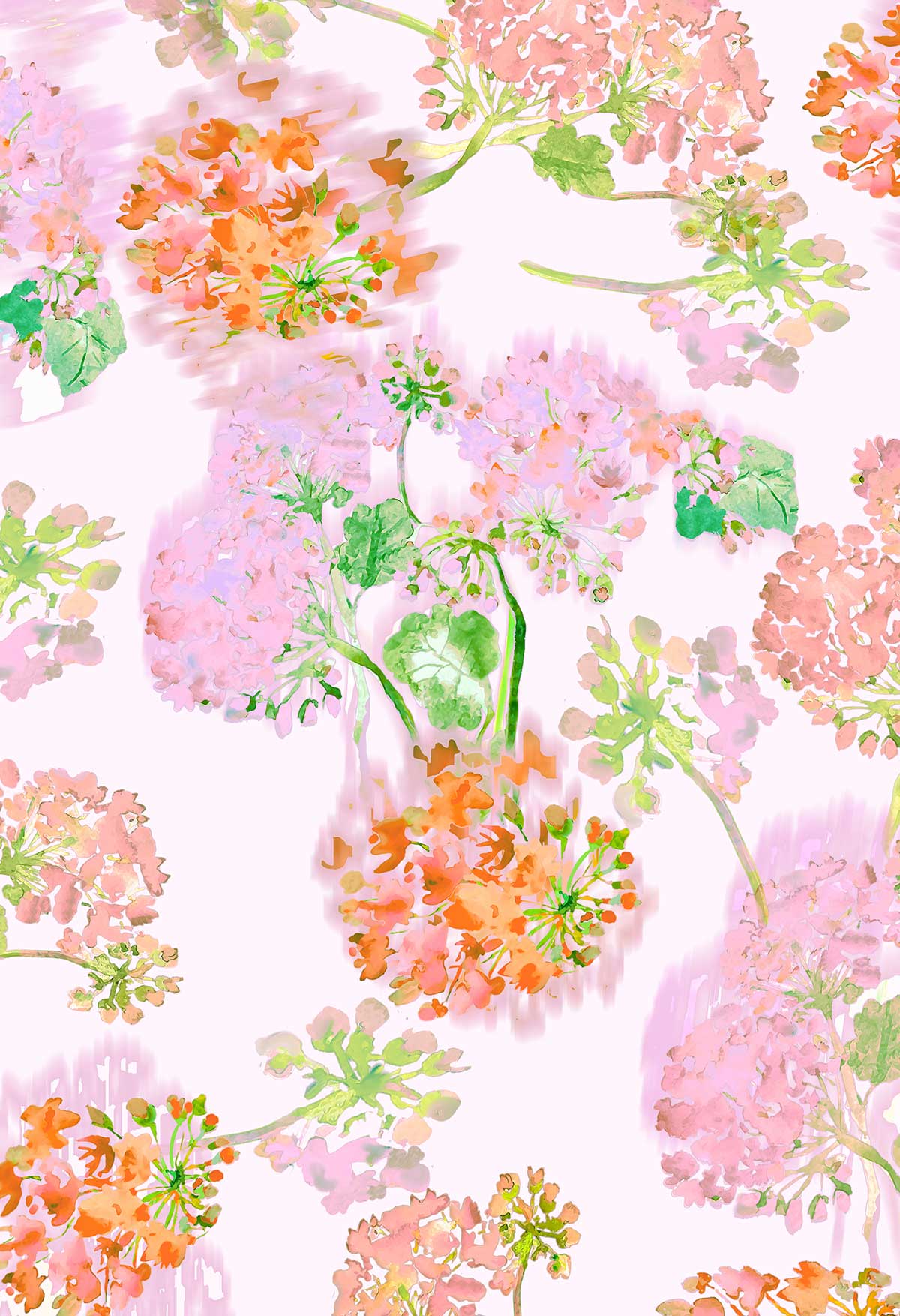 FL0016 - Geraniums Garden - Floral Print