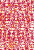 Nr2 -abstract