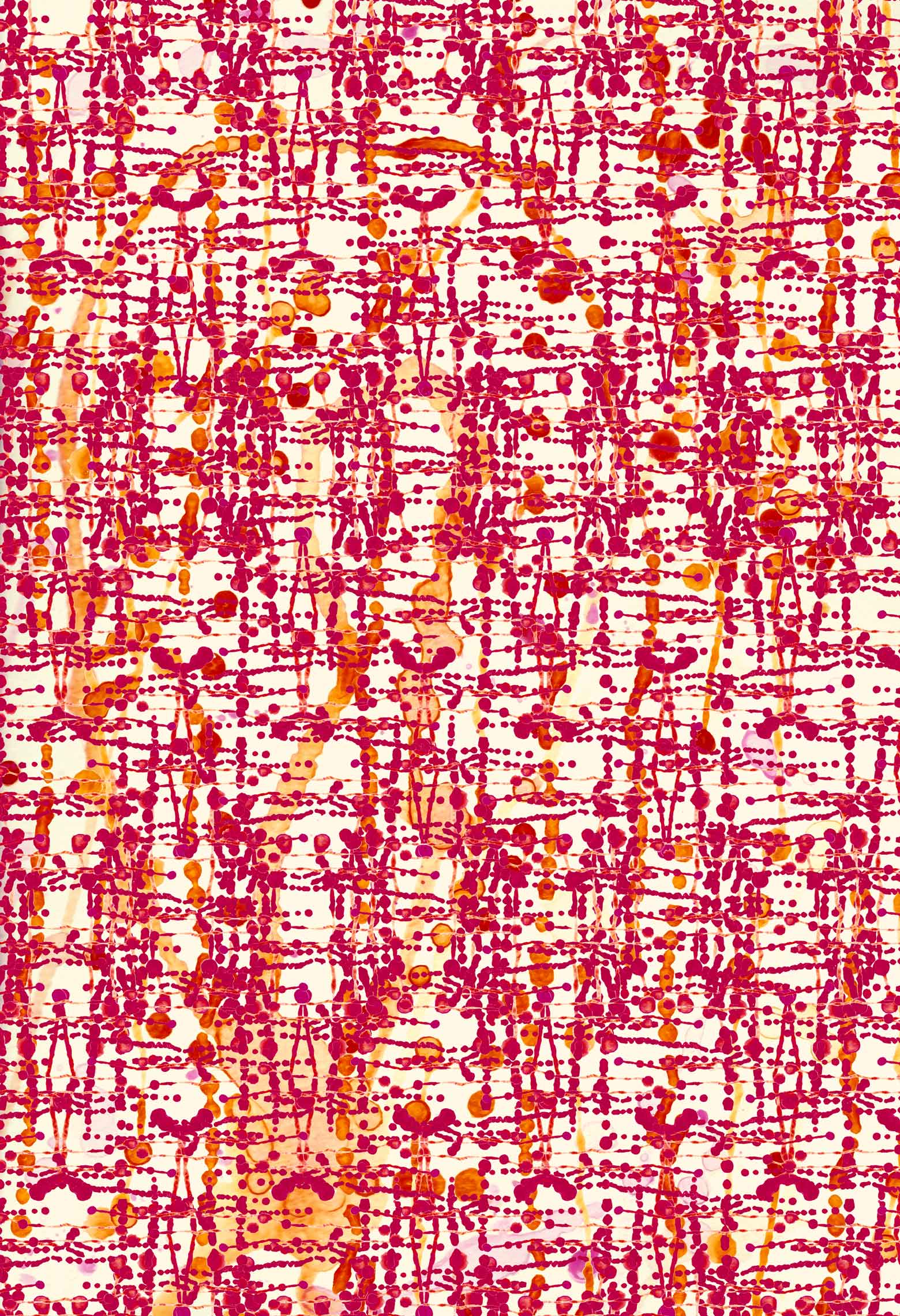 Nr2 -abstract