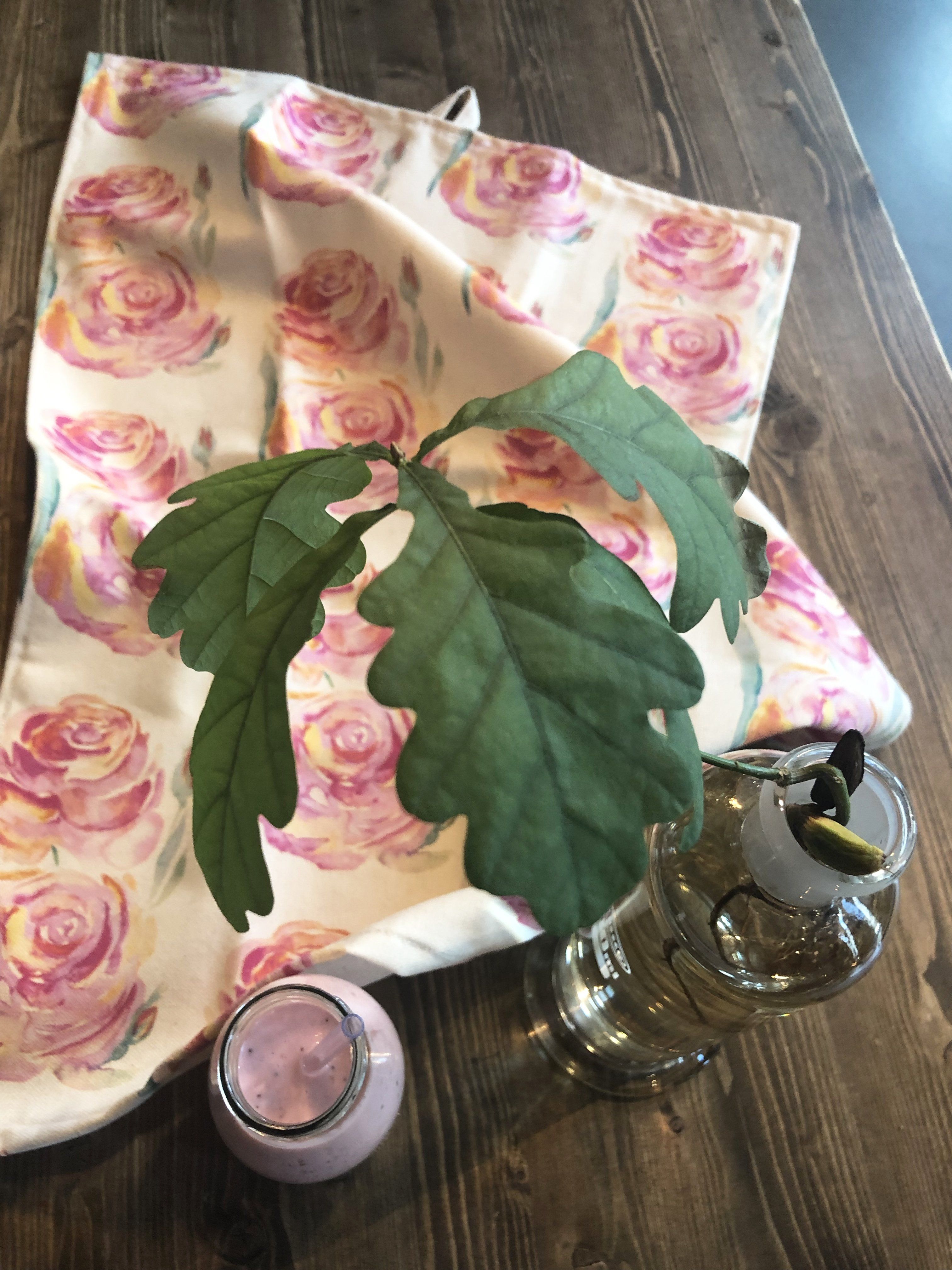 ALWAYS ROSES | Organic Dish Towel |