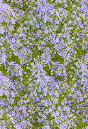 Open image in slideshow, CALM ||  GREEN SPRING FLOWERS
