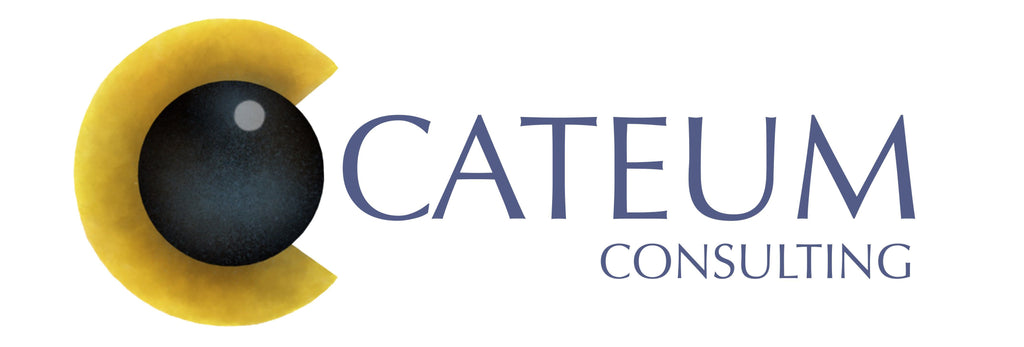 CATEUM CONSULTING AB